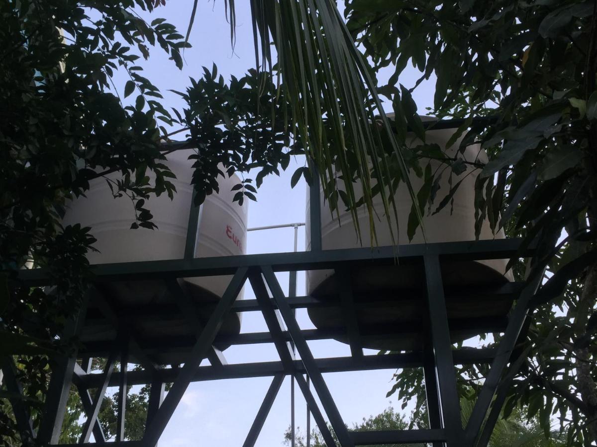 Hotel One Love Puerto Viejo Puerto Viejo de Talamanca Extérieur photo