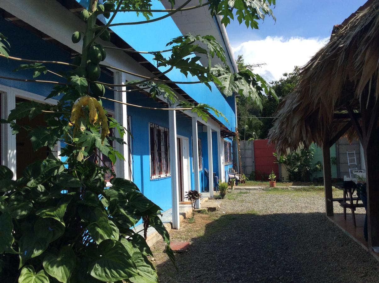 Hotel One Love Puerto Viejo Puerto Viejo de Talamanca Extérieur photo